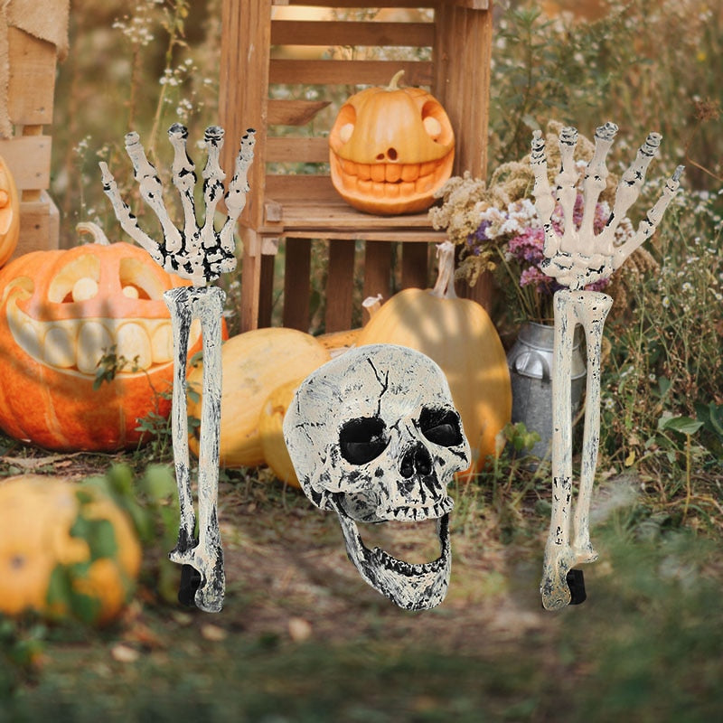 Halloween Skeleton Skull Prop