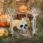 Halloween Skeleton Skull Prop