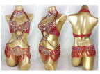 Samba Beaded Belly Dance Costume Set – Women's Bra & Waist Belt for Carnival, Stage & Performance