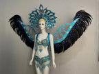 Multi-Color Feathered Wing and Headdress Performance Set