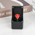 Home Decoration Interesting Prank Gift Middle Finger In Box Box Funny Creative Gifts Office Desk Decoration Gifts For Guests - Big Tim's Magic Emporium