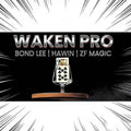 Professional Waken 2.0 Magic Deck – Haunted Cards Rising & Animated Effects Silent Close-up & Stage Illusions for Magicians