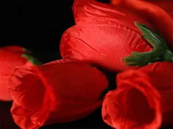 The Rose 2.0 (Red) by Bond Lee Fire Rose 1 To 4 Stage Magic Props Close Up Magic Trick Mentalism Magic Illusion Gimmick Magicain