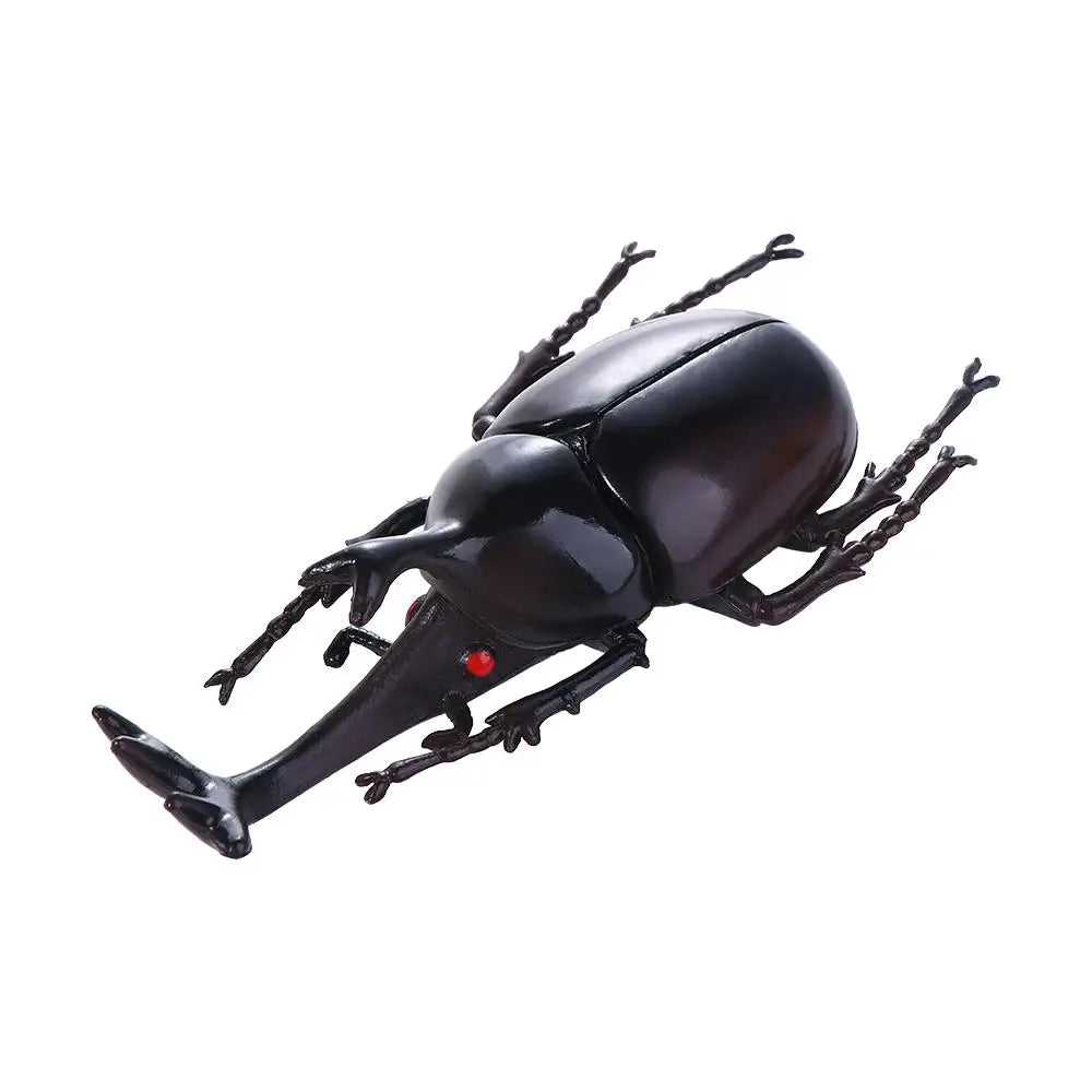 Fake Beetle Joke  Insect  Simulation Animals Special Lifelike Model Insect Model Beetle  Simulation Beetle - Big Tim's Magic Emporium