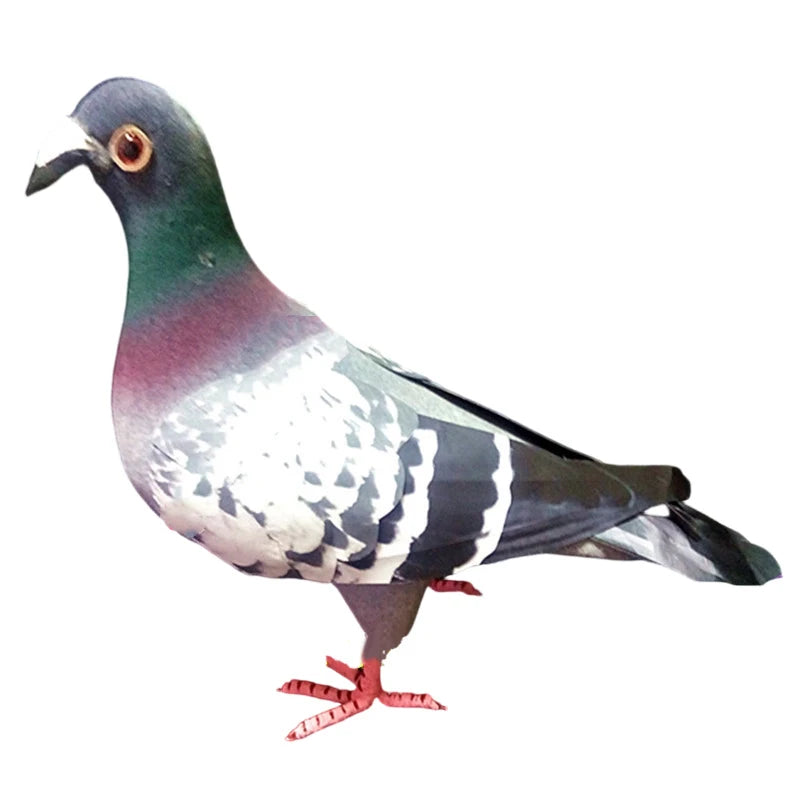 Realistic Foam Pigeon – Handcrafted Stage Magic & Decor Prop - Big Tim's Magic Emporium