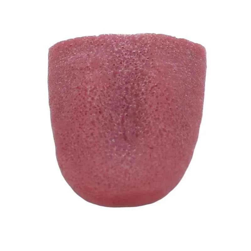 New Horror Magic Prank Toy - Funny False Simulation Tongue Decompression Toy for Halloween Pranks and Kids Magic - Big Tim's Magic Emporium