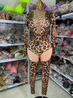 Leopard Print Rhinestone Catsuit Long Sleeve Stage Performance Jumpsuit