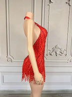 Crystal Rhinestone Fringe Sleeveless Bodysuit & Aerial Dance Leotard Costume