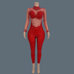 Sparkly Crystal Mesh Sheer Illusion Jumpsuit Stage Catsuit Costume
