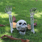 Halloween Skeleton Skull Prop