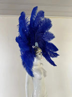 The Stardust Samba Enchantment – Exquisite Feathered Dance & Stage Headdress