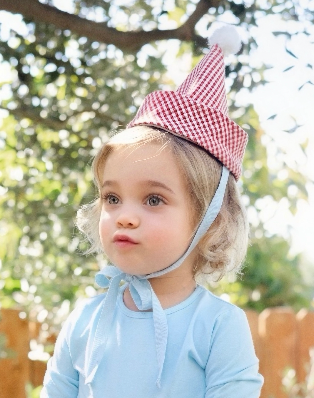 Gingham Party Hat by Band of the Wild