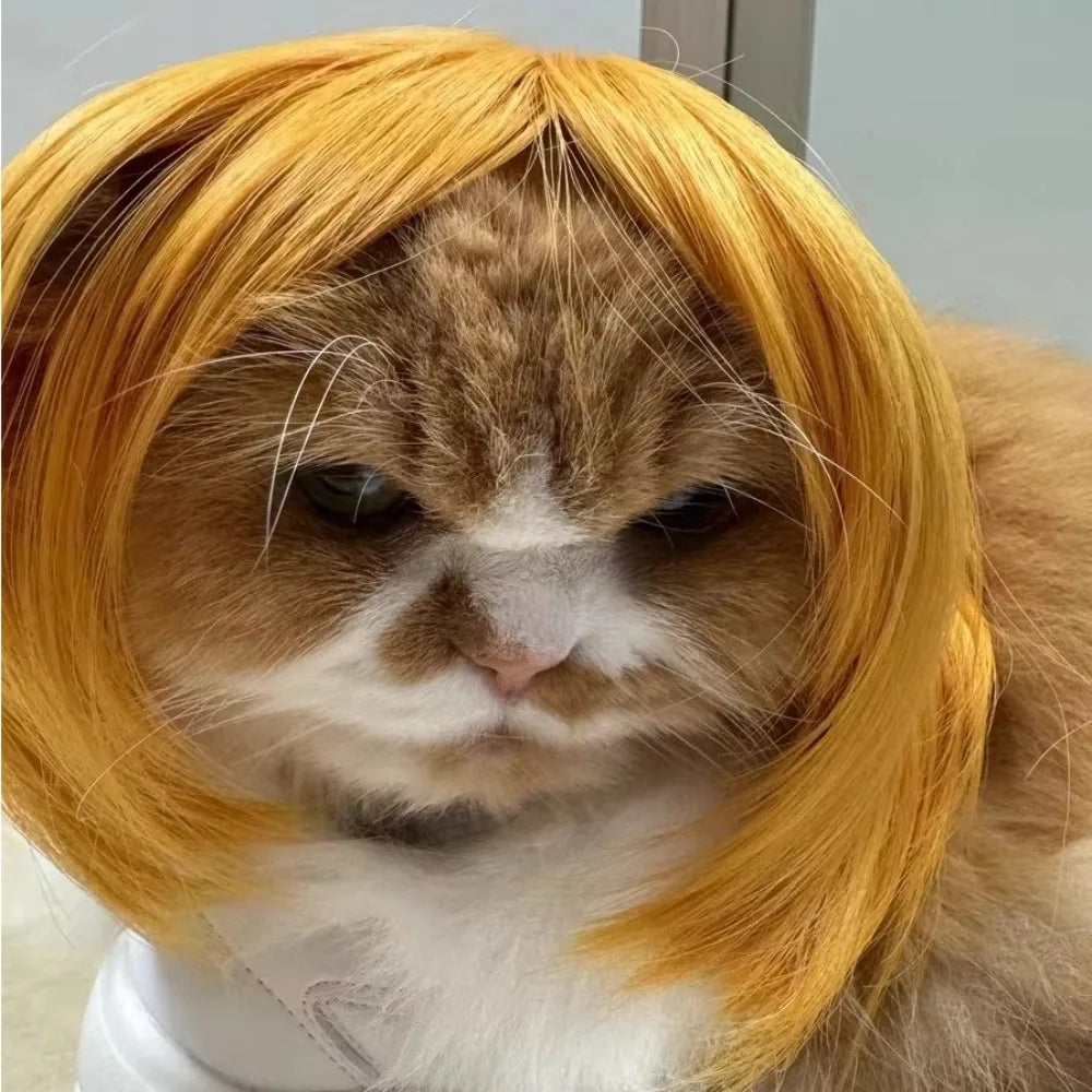 Cute Straight Hair Pet Costume Wig Colorful Funny Cat Cosplay Wig Adjustable Dog Hairpiece Photography