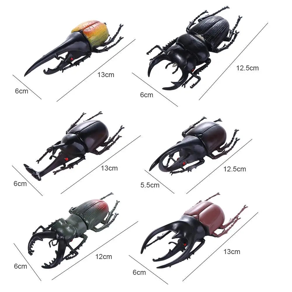 Fake Beetle Joke Insect Simulation Animals Special Lifelike Model Insect Model Beetle Simulation Beetle by Big Tim's Magic Emporium