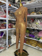 Leopard Print Rhinestone Catsuit Long Sleeve Stage Performance Jumpsuit