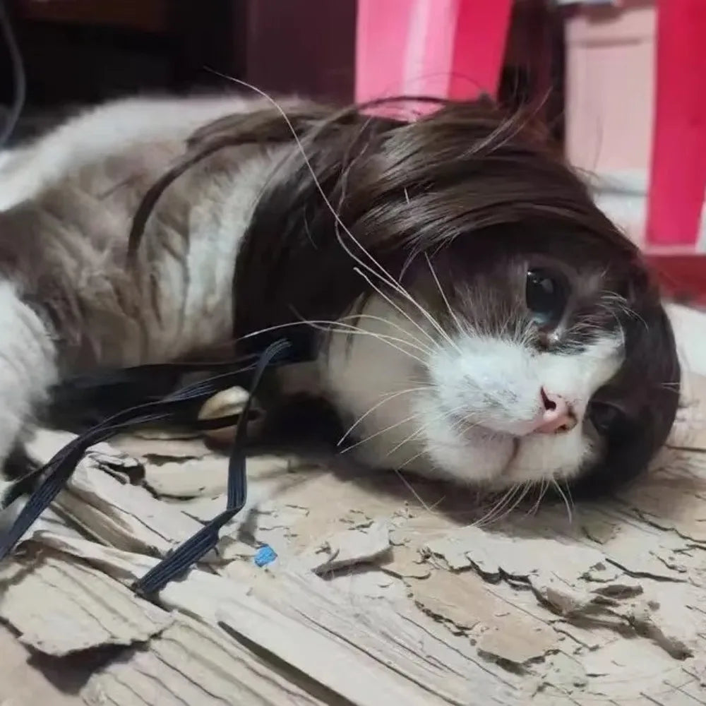 Cute Straight Hair Pet Costume Wig Colorful Funny Cat Cosplay Wig Adjustable Dog Hairpiece Photography