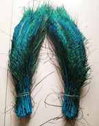 Wholesale Real Peacock Feathers (50-100/lot)