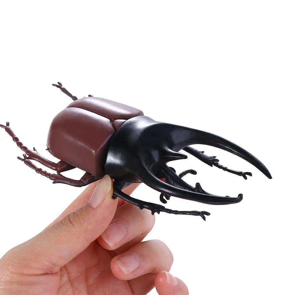 Fake Beetle Joke Insect Simulation Animals Special Lifelike Model Insect Model Beetle Simulation Beetle by Big Tim's Magic Emporium
