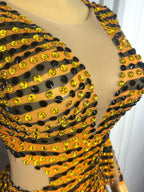 Tiger Print Rhinestone Mesh Long-Sleeve Mini Dress Deep V-Neck Stage Costume