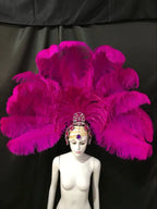 The Stardust Samba Enchantment – Exquisite Feathered Dance & Stage Headdress