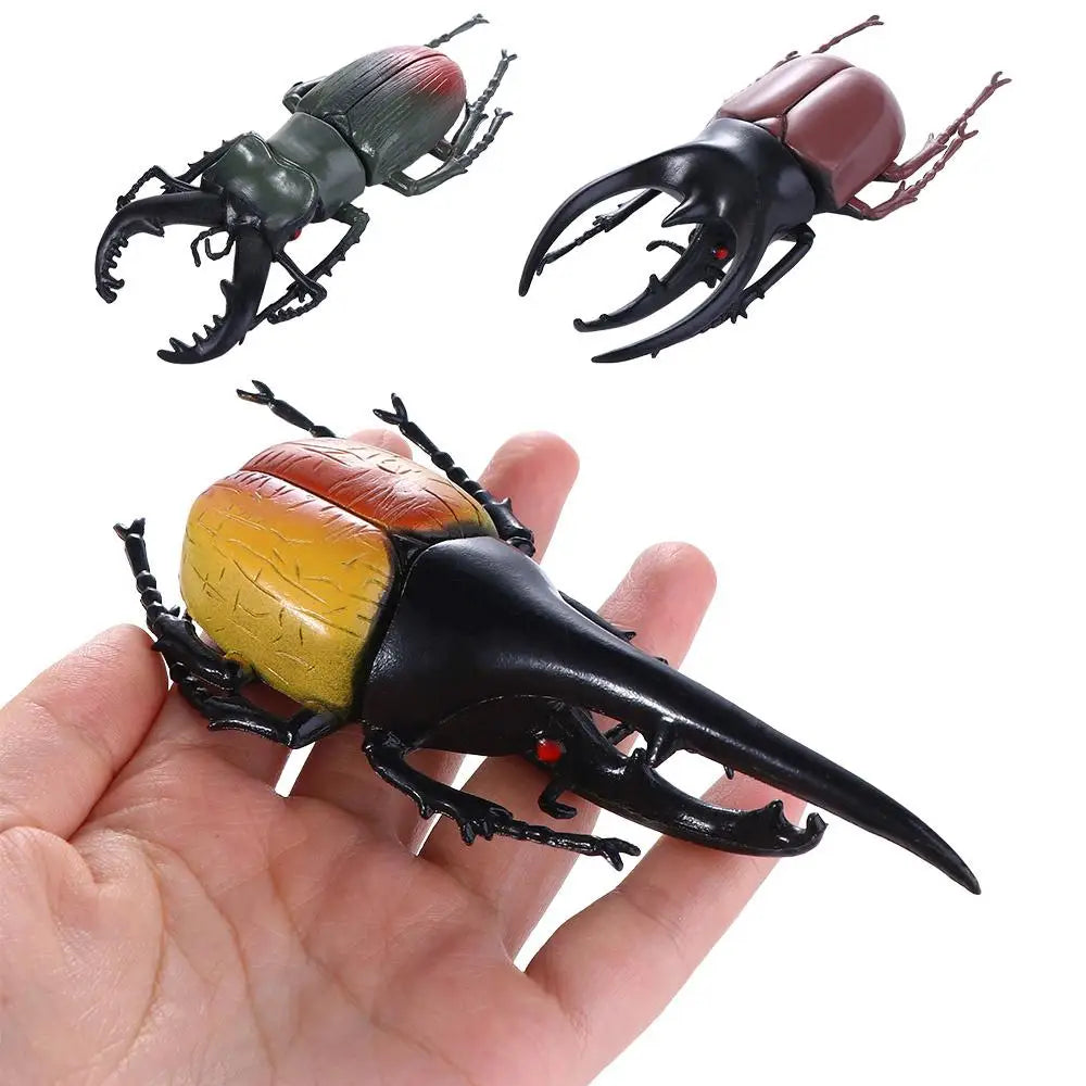 Fake Beetle Joke Insect Simulation Animals Special Lifelike Model Insect Model Beetle Simulation Beetle by Big Tim's Magic Emporium