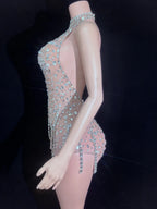 Silver Crystal Halter Illusion Bodysuit Sparkly Backless Rhinestone Stage Leotard