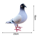 Realistic Foam Pigeon – Handcrafted Stage Magic & Decor Prop - Big Tim's Magic Emporium