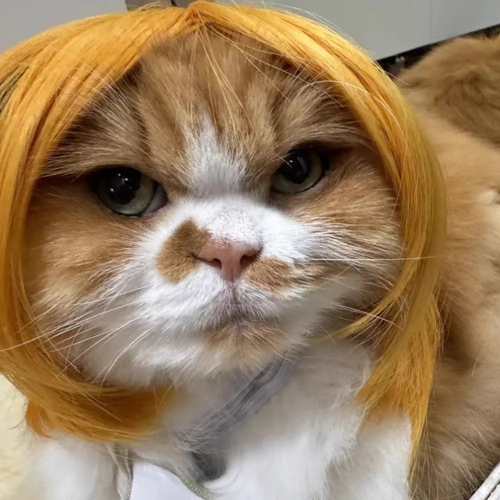 Cute Straight Hair Pet Costume Wig Colorful Funny Cat Cosplay Wig Adjustable Dog Hairpiece Photography