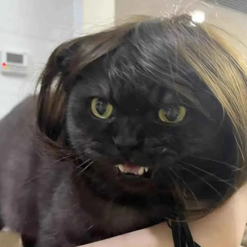 Cute Straight Hair Pet Costume Wig Colorful Funny Cat Cosplay Wig Adjustable Dog Hairpiece Photography