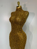 Sparkly Rhinestone Sleeveless Maxi Long Dress See-Through Sheer Mesh Stage Outfit