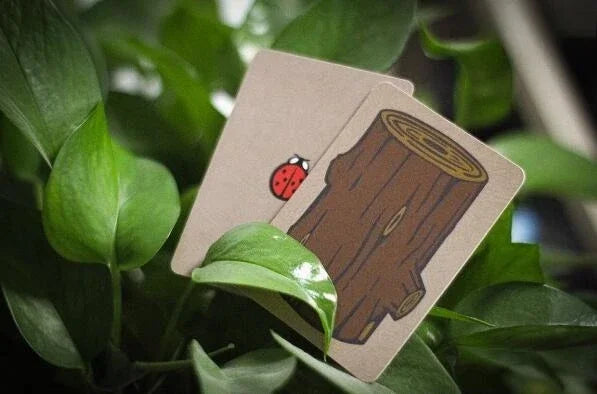 Joshua Ray Lucky Ladybug Magic Tricks Close Up Performer Stage Street Magic Props Gimmicks - Big Tim's Magic Emporium