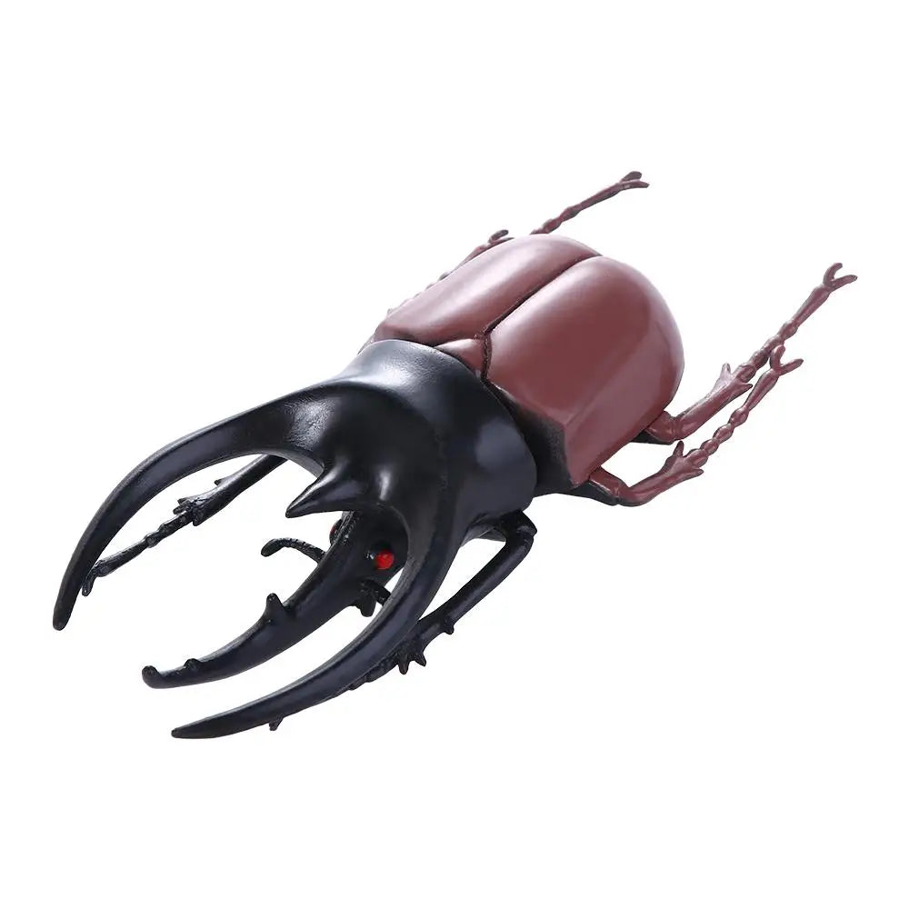 Fake Beetle Joke  Insect  Simulation Animals Special Lifelike Model Insect Model Beetle  Simulation Beetle - Big Tim's Magic Emporium