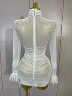 White High Collar Long Sleeve Solid Mesh Sexy See Through Ruffle Mini Dress