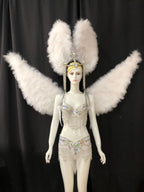 Multi-Color Feathered Wing and Headdress Performance Set