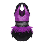 Women's Shiny Sequin Sheer Mesh Feather Latin Jazz Dance Bodysuit