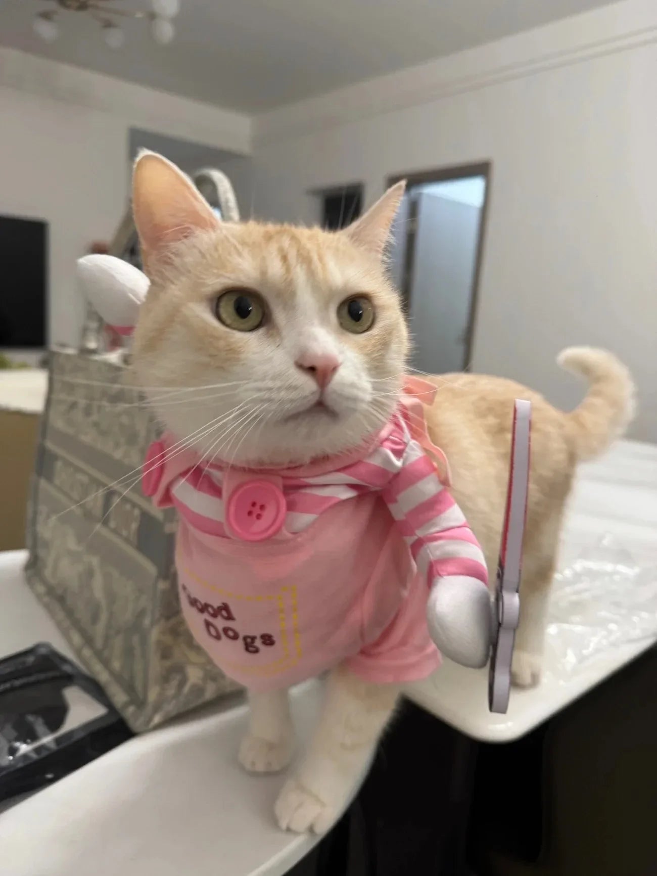 Cosplay Pet Costume Funny Party Cat Clothes For Small Medium Dogs Cats Halloween Cute Cats Apparel Festival Kitten Sphynx Gift