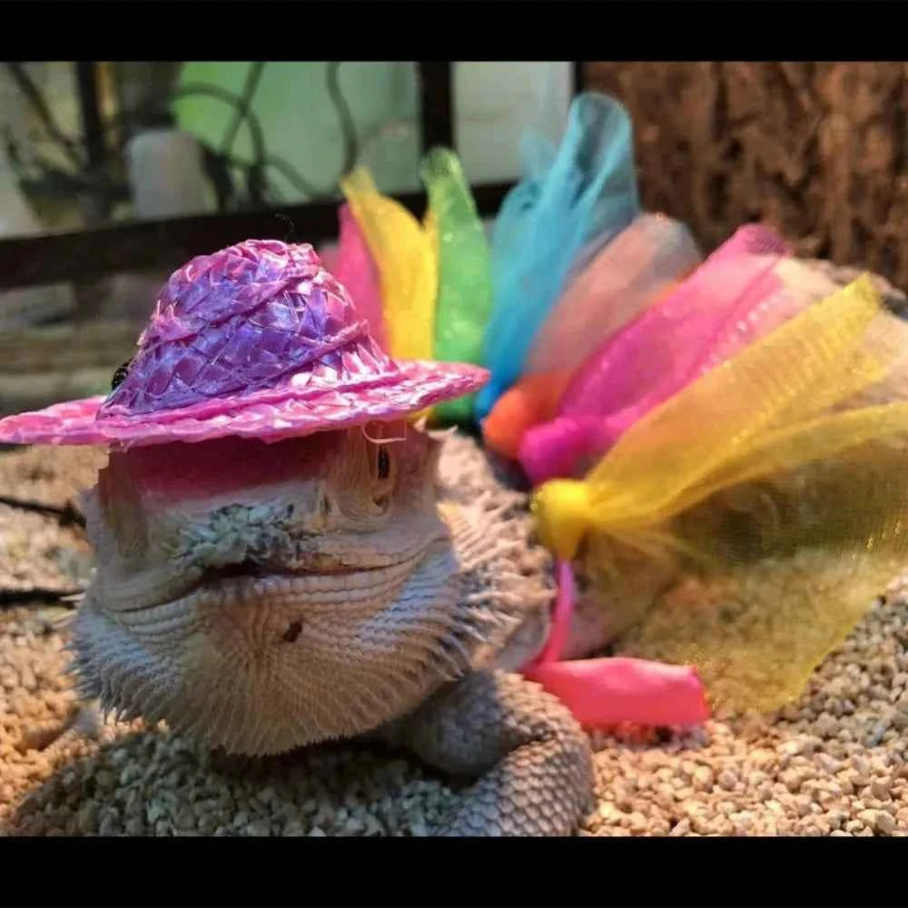 Bearded Dragon Costume Hat for Lizards Tutu Skirt & Reptile Small Pet Costume Outfits Clothes Photo Props for Geckos Hamster Rat