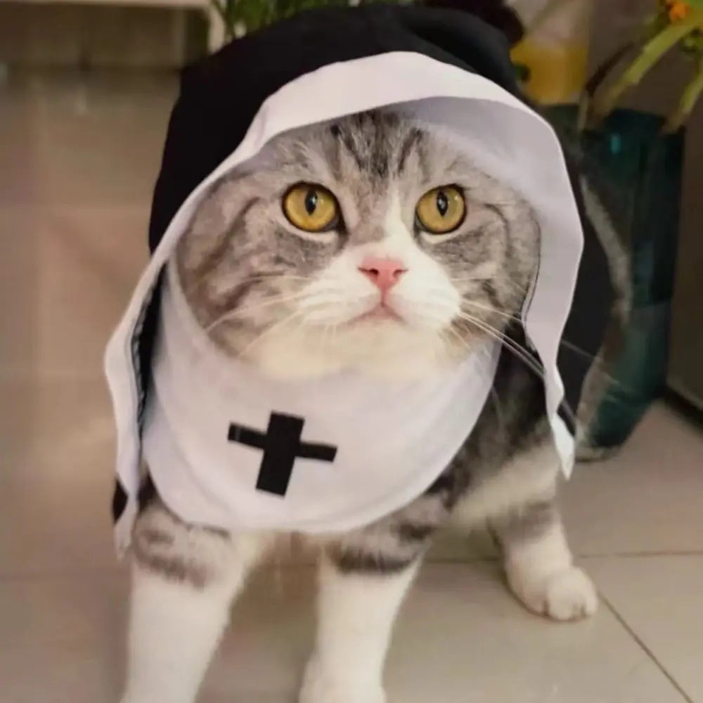 Cat Puppy Pet Nun Cloak Role Play Soft Pet Cat Halloween Costumes Black/white Breathable Cat Cosplay Costume Sets Cosplay Dress
