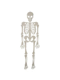 Skeleton Halloween Prop by Masquerade