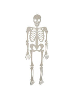 Skeleton Halloween Prop by Masquerade