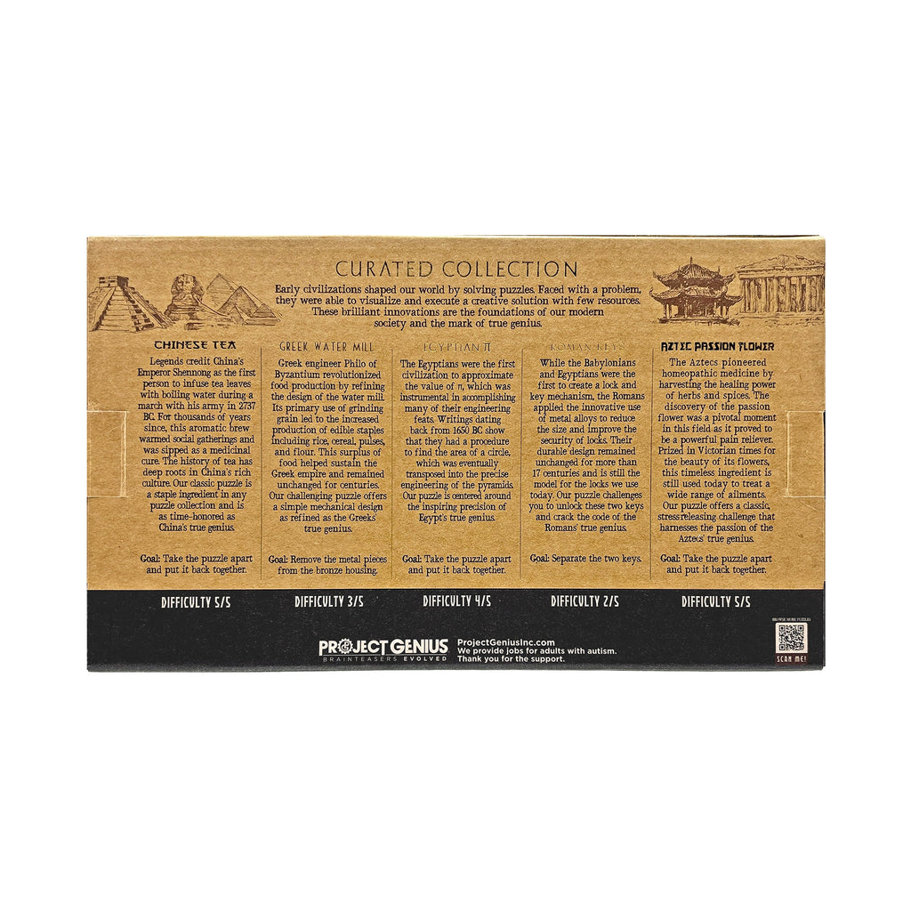 Curated Collection 5-Pack - Assorted Wooden and Metal Puzzles by Project Genius