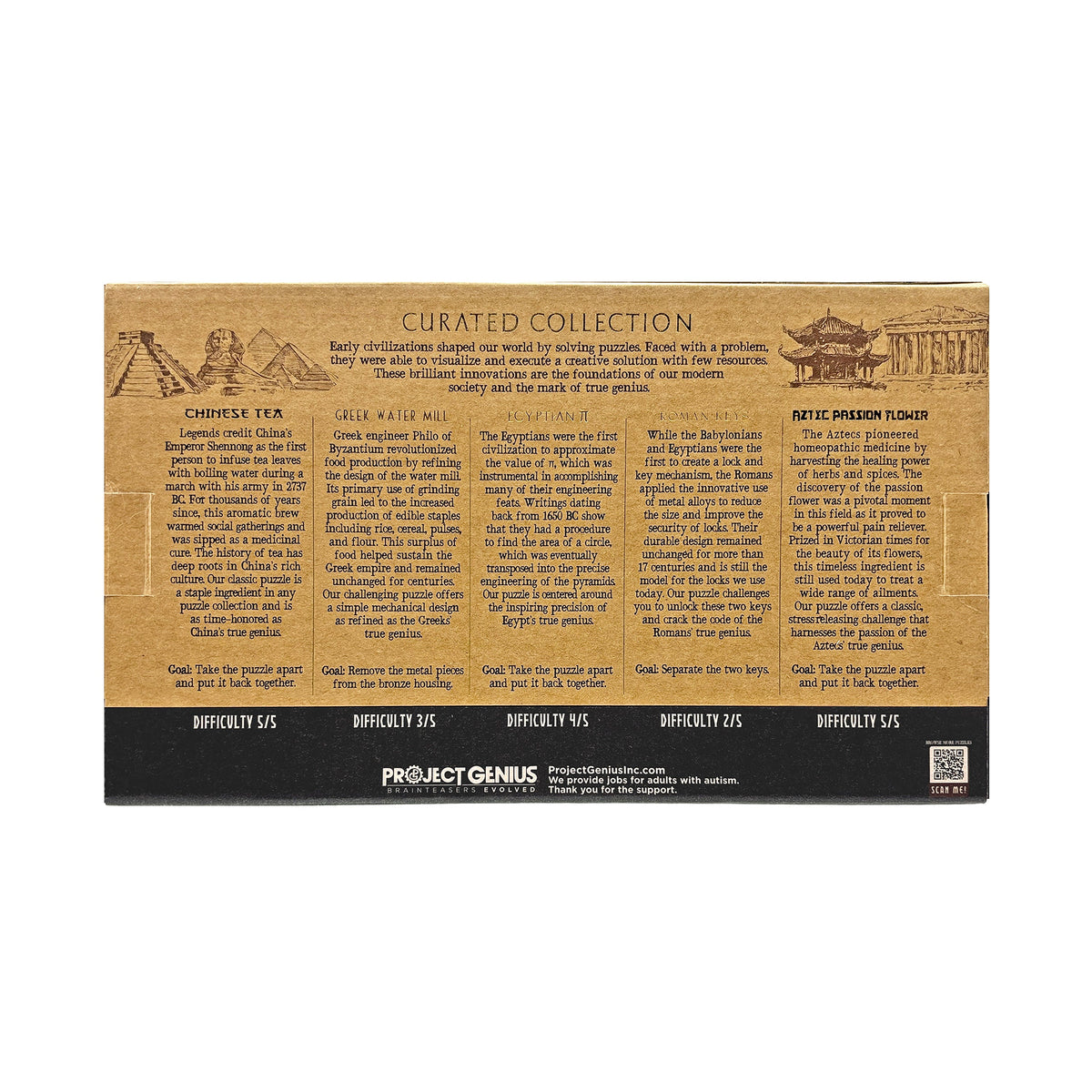 Curated Collection 5-Pack - Assorted Wooden and Metal Puzzles by Project Genius