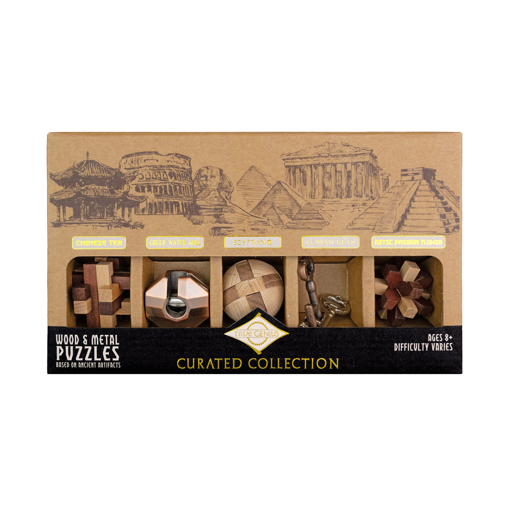 Curated Collection 5-Pack - Assorted Wooden and Metal Puzzles by Project Genius
