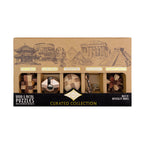 Curated Collection 5-Pack - Assorted Wooden and Metal Puzzles by Project Genius