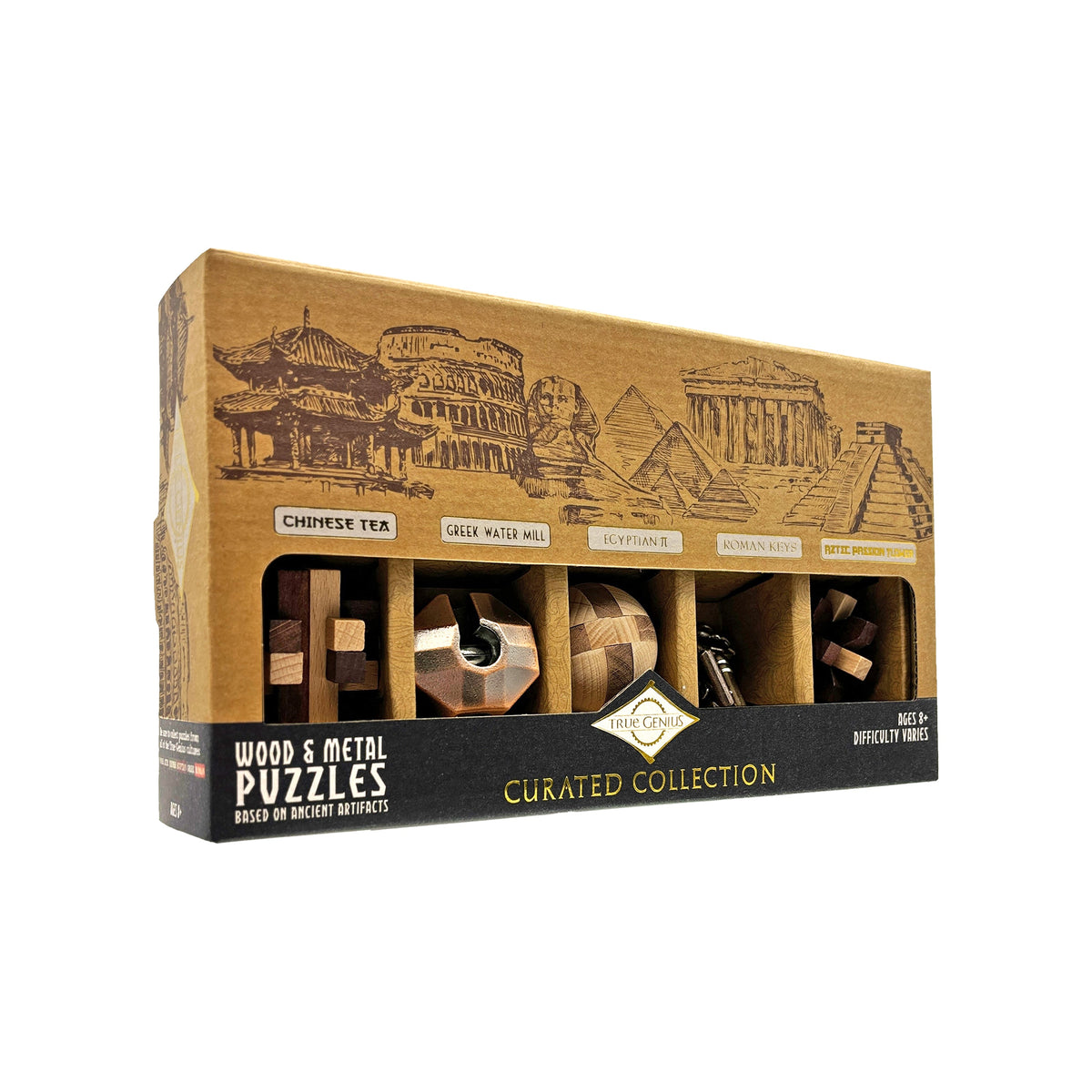 Curated Collection 5-Pack - Assorted Wooden and Metal Puzzles by Project Genius
