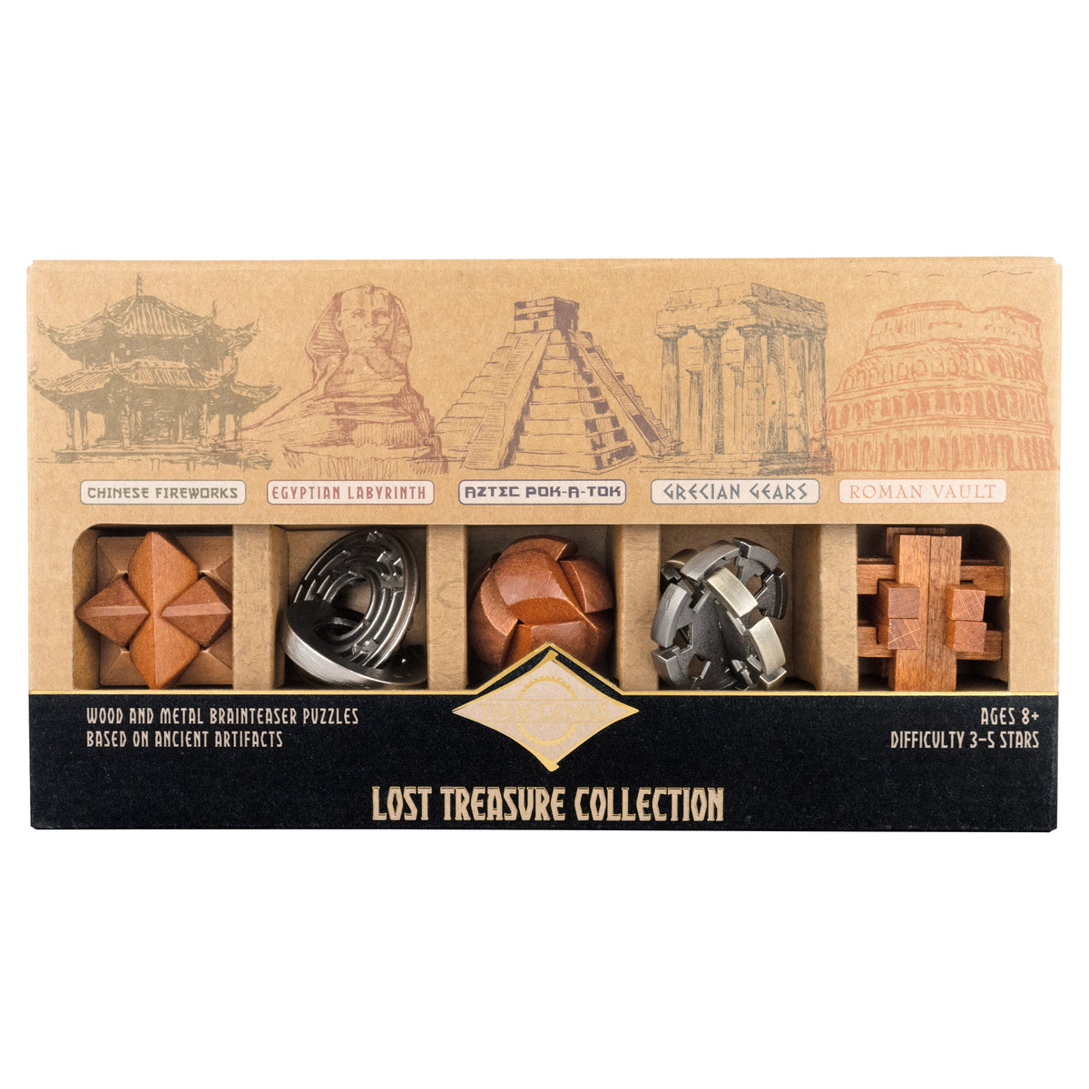 Lost Treasure Collection - 5-Pack of Brainteasers by Project Genius