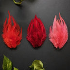 Natural Pheasant & Chicken Craft Feathers Bulk Lot