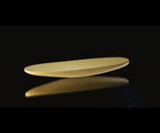 The Gold Rattleback by Magic Makers