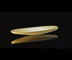 The Gold Rattleback by Magic Makers