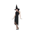 Adult Classy Witch Dress by Masquerade